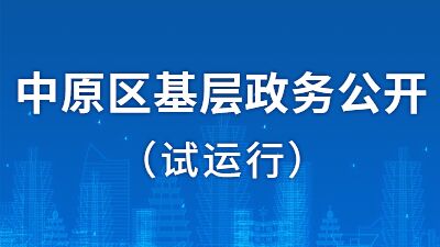 中原区基层政务公开（试运行）