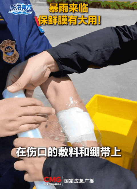 13.gif